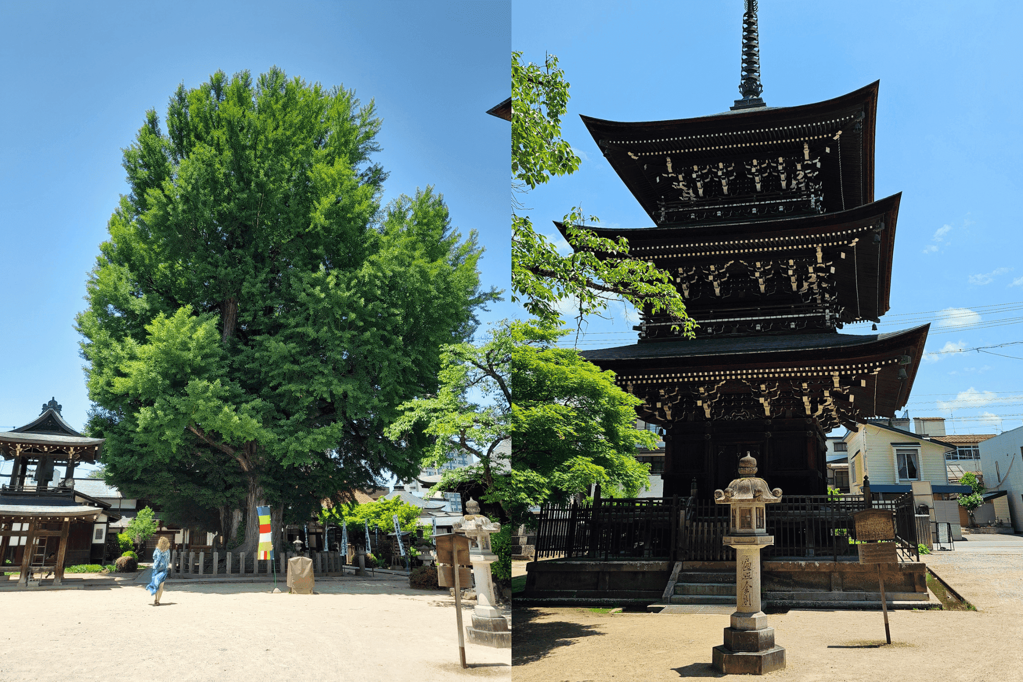 Hida Kokubun-ji - co robić w Takayamie.png